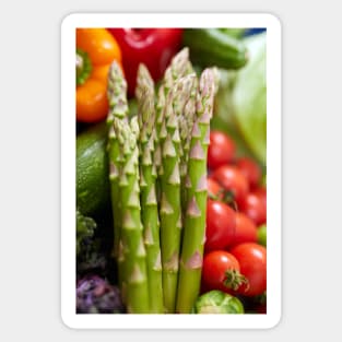 Group of various vegetables in closeup Sticker